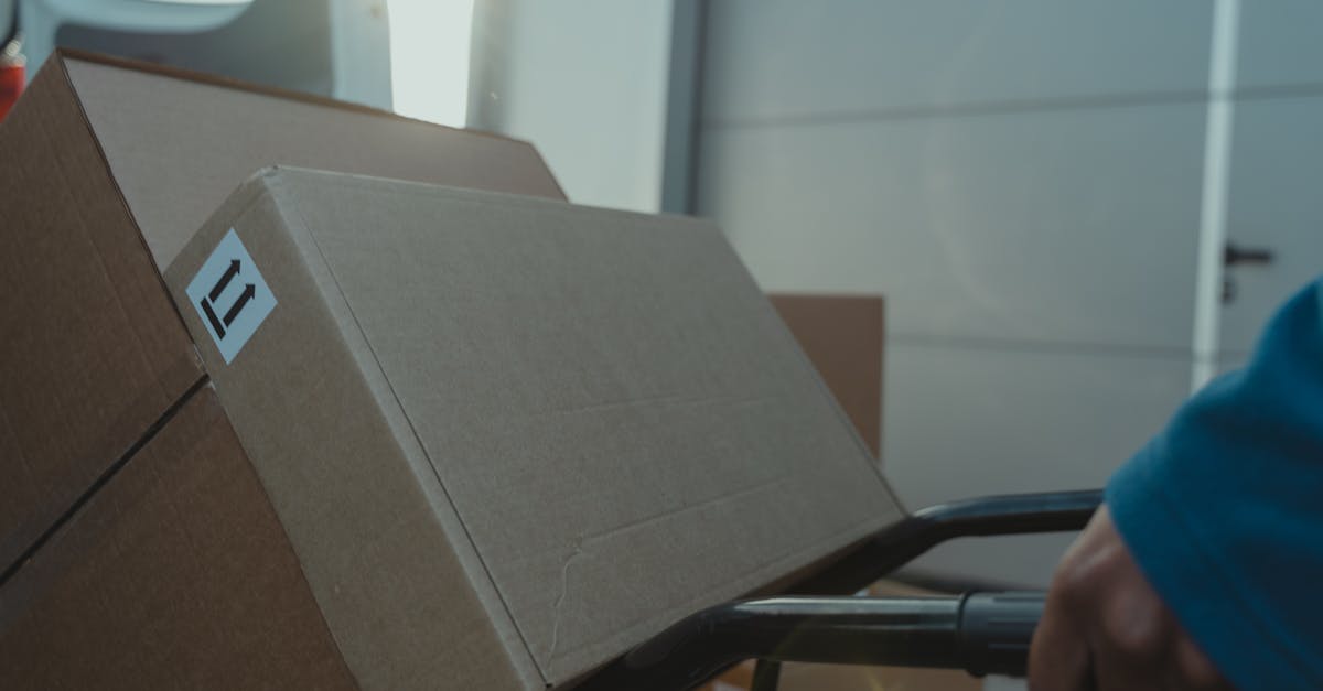 The Role of Documentation in Good Manufacturing Practices